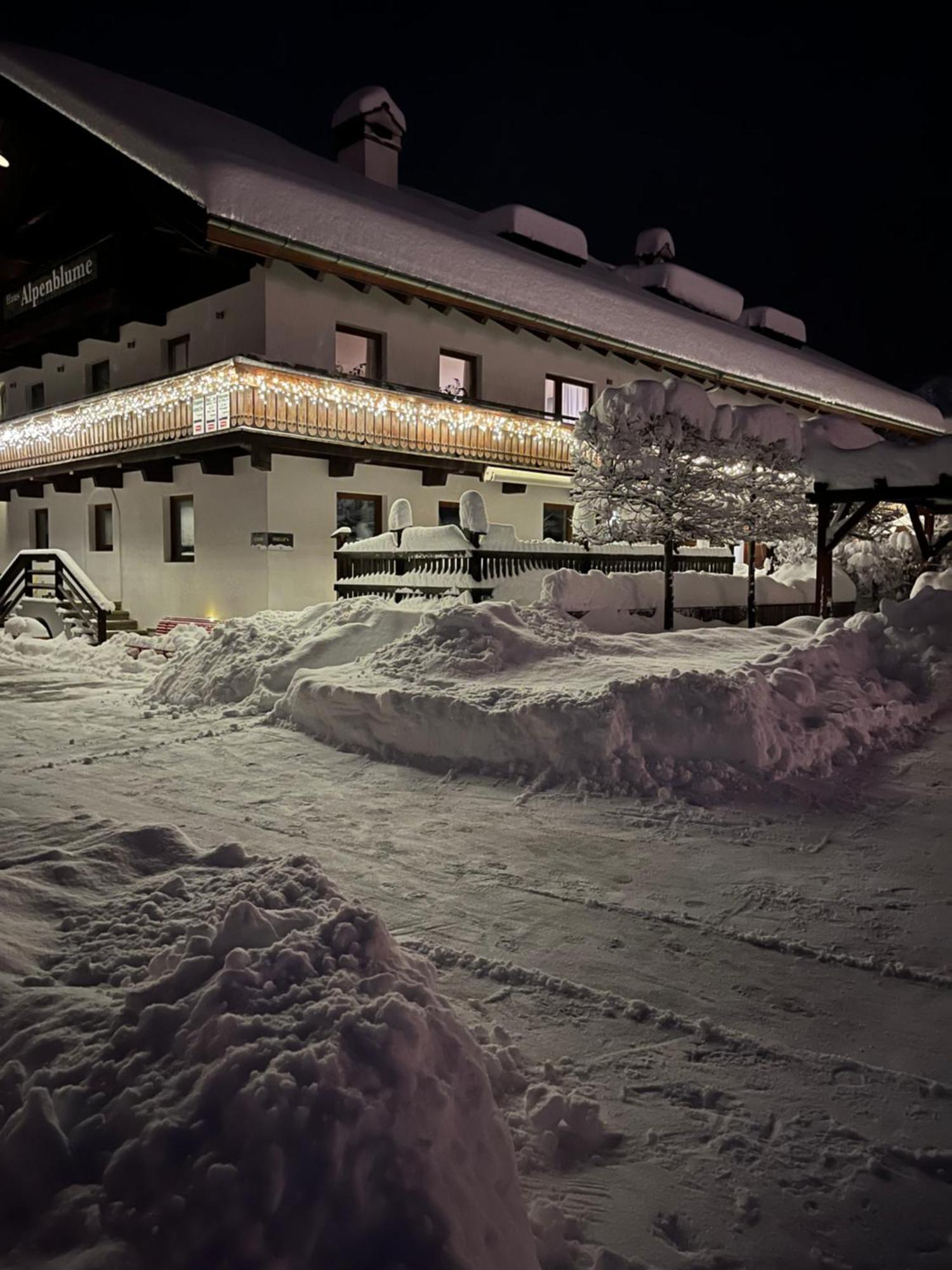 Haus Alpenblume Apartman Ehrwald Kültér fotó